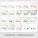 Kép 4/6 - Tabló Snow Lotus